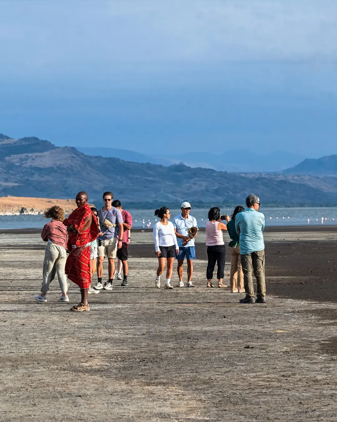 About Topy Tours