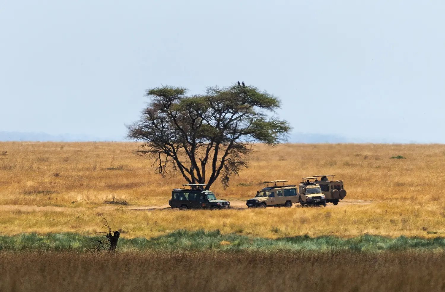 Safari landscapes across Tanzania with Topy Tours