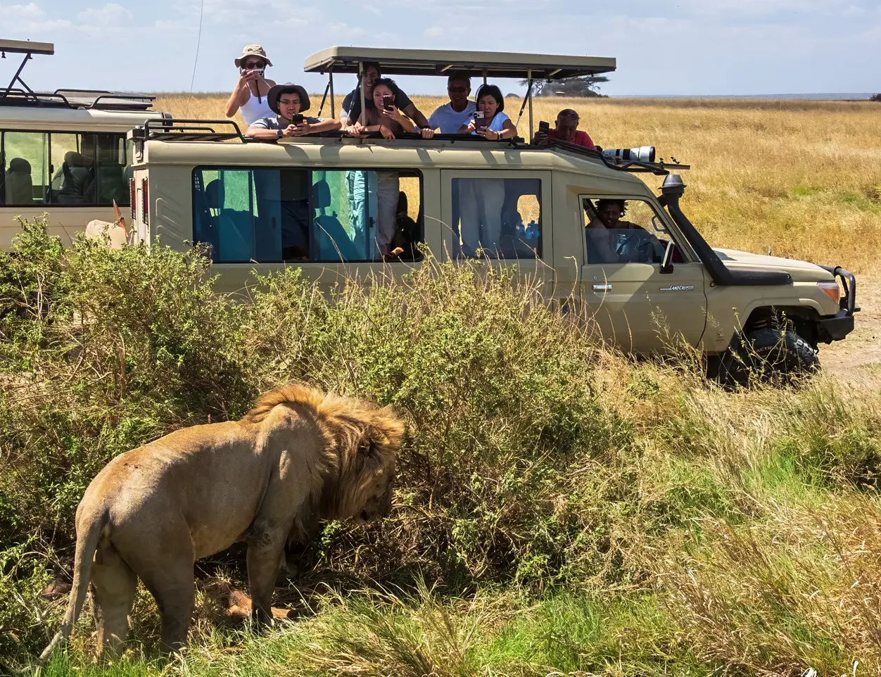 Safari landscapes across Tanzania with Topy Tours