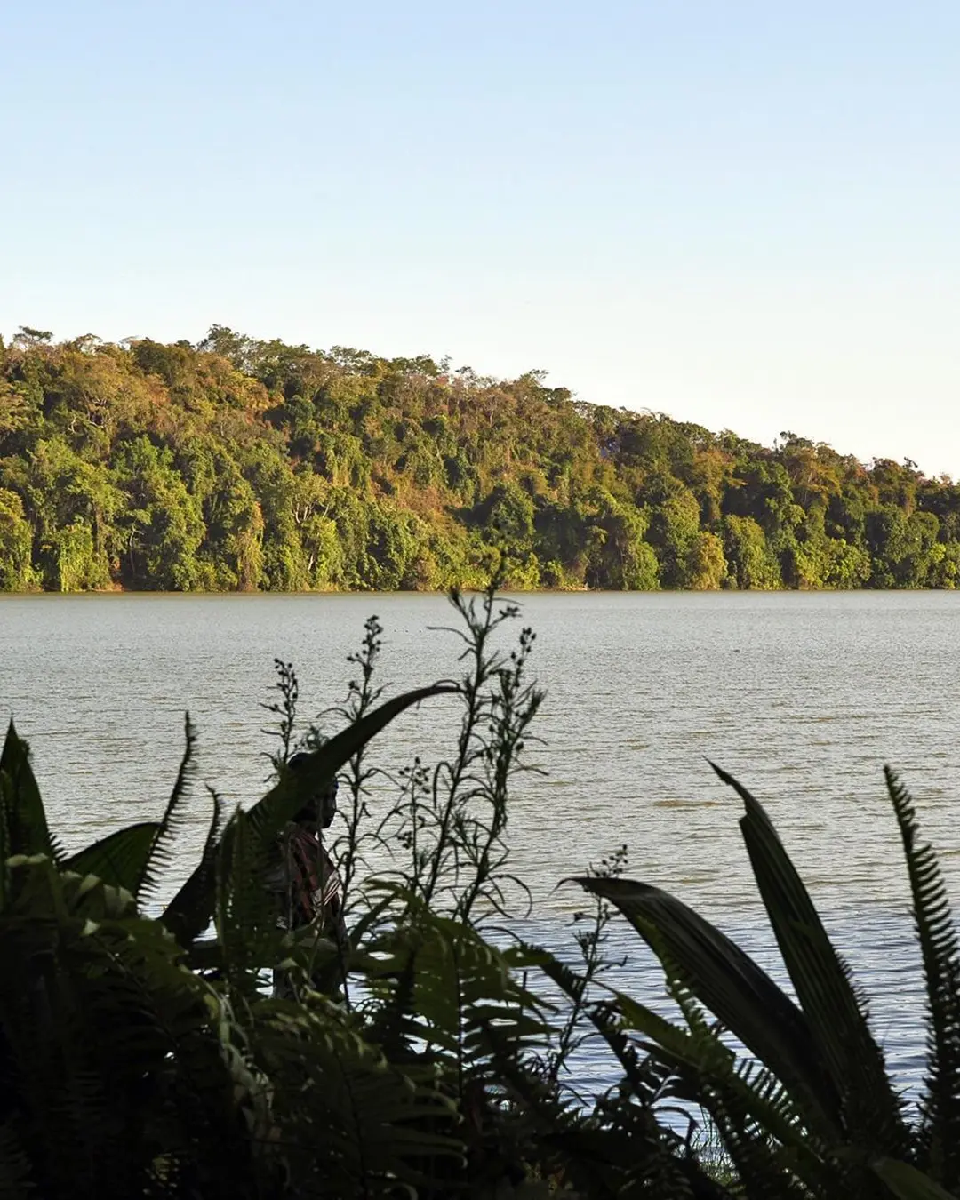 Lake Duluti crater lake surrounded by forest