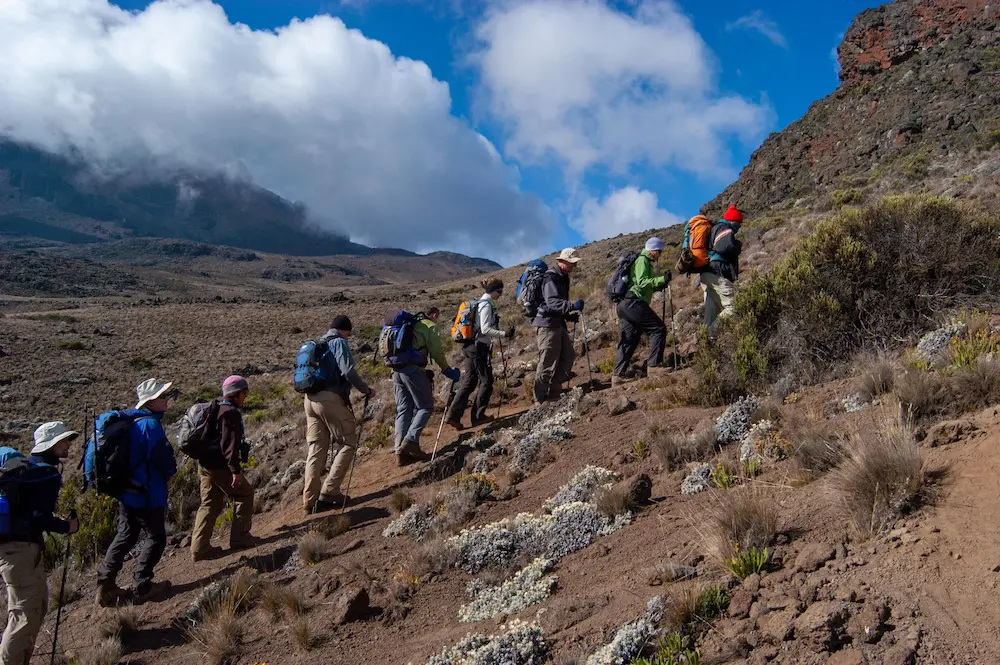 Kilimanjaro across the seasons