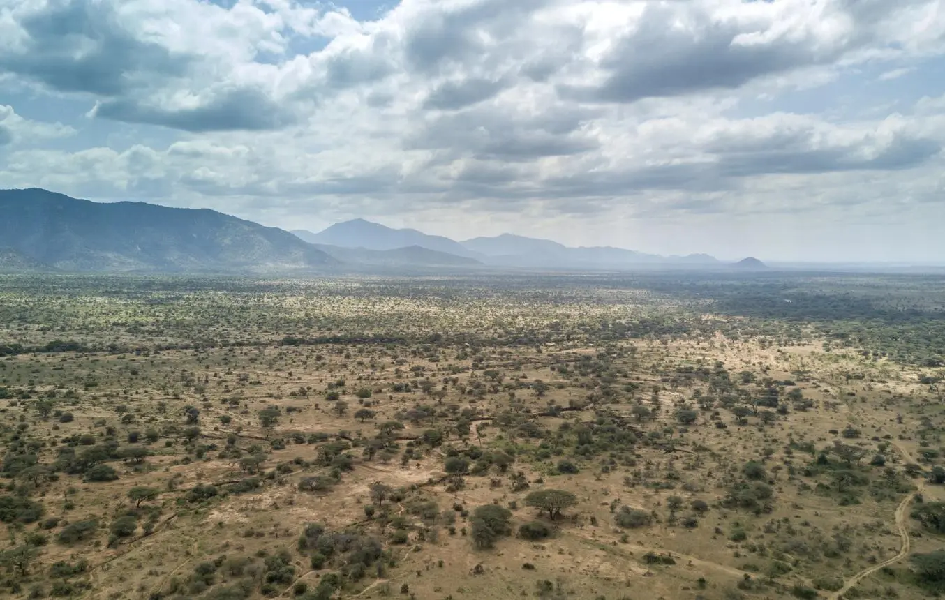 Open savannah approaches