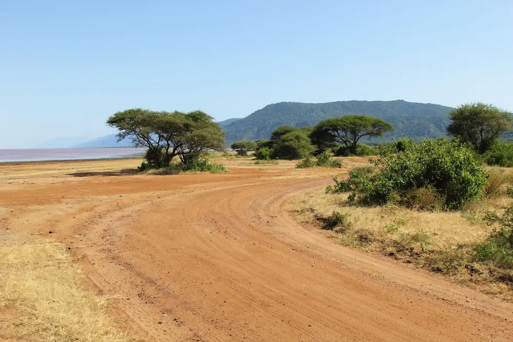 Makuyuni gateway savannah