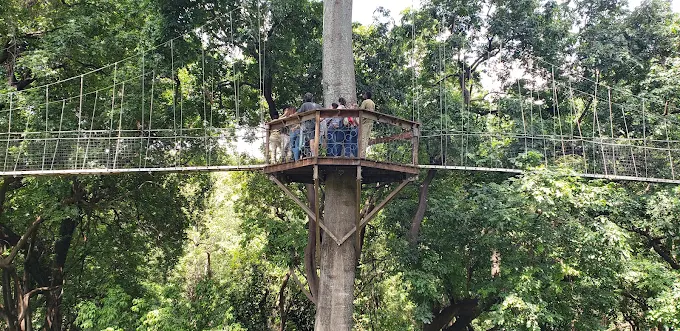 Forest walk / Canopy walk