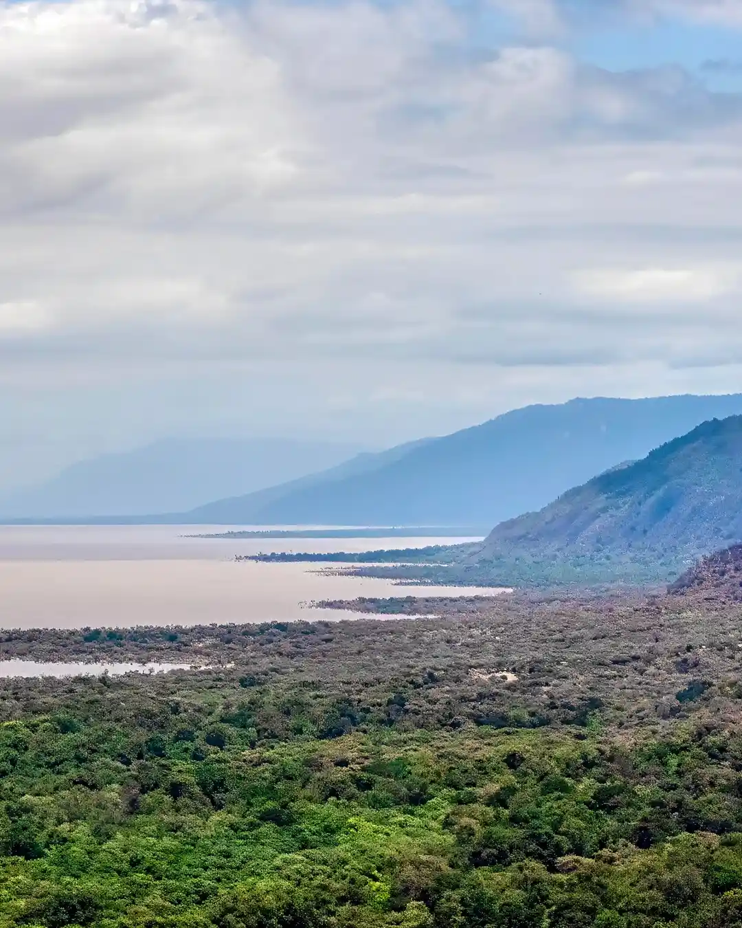 Lake Manyara National Park forest and lake