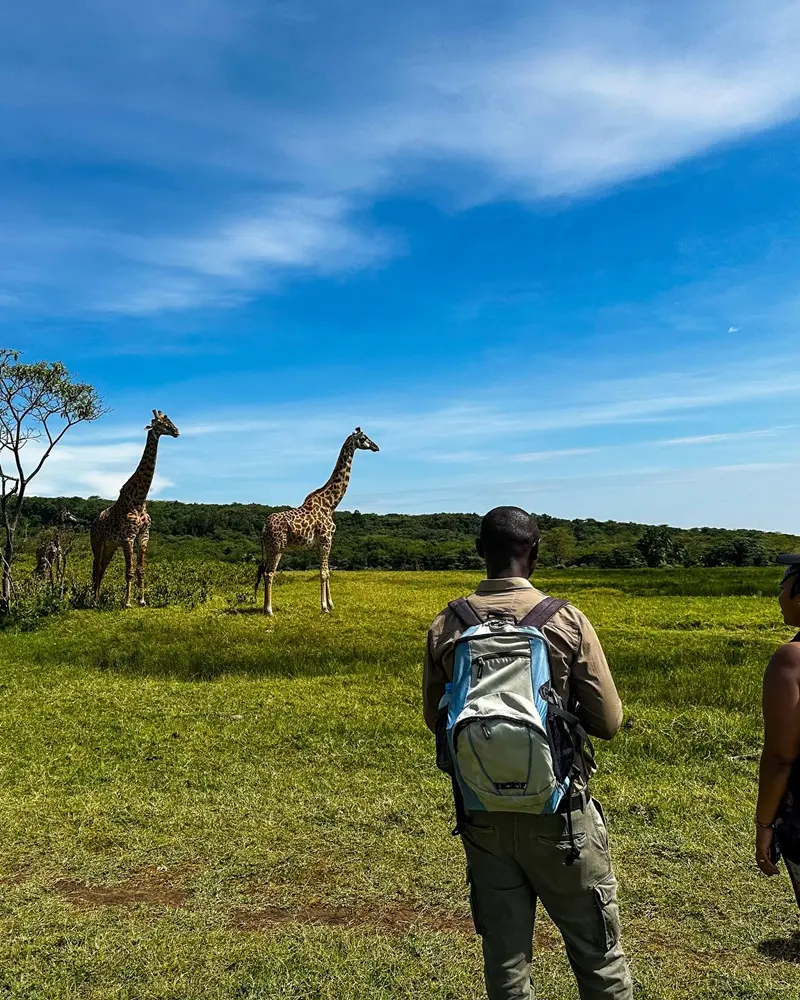 Wildlife on foot