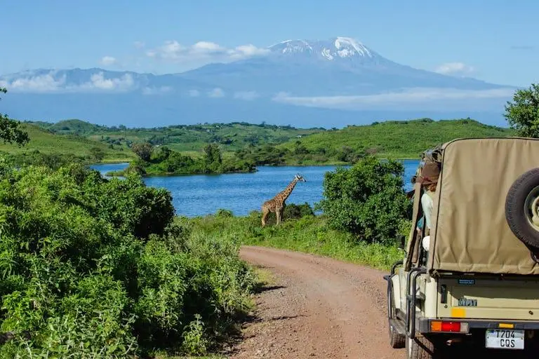 Lake game drive