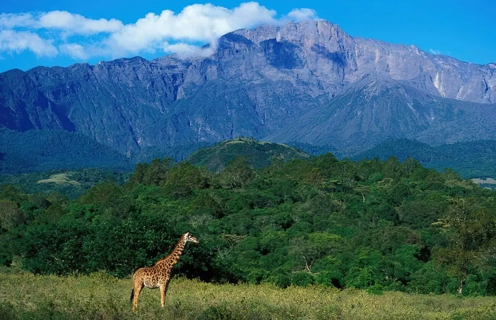 Meru & Kilimanjaro views