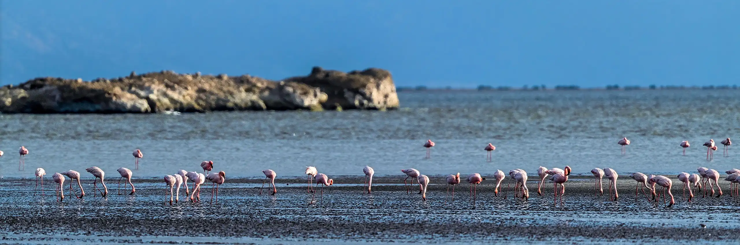 Lake Natron Rift Valley