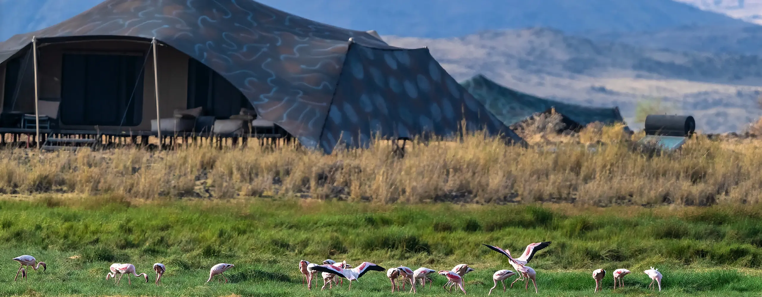 Lake Natron Rift Valley