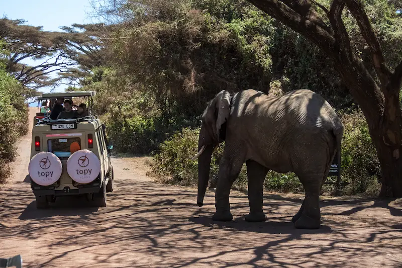 Crater game drive