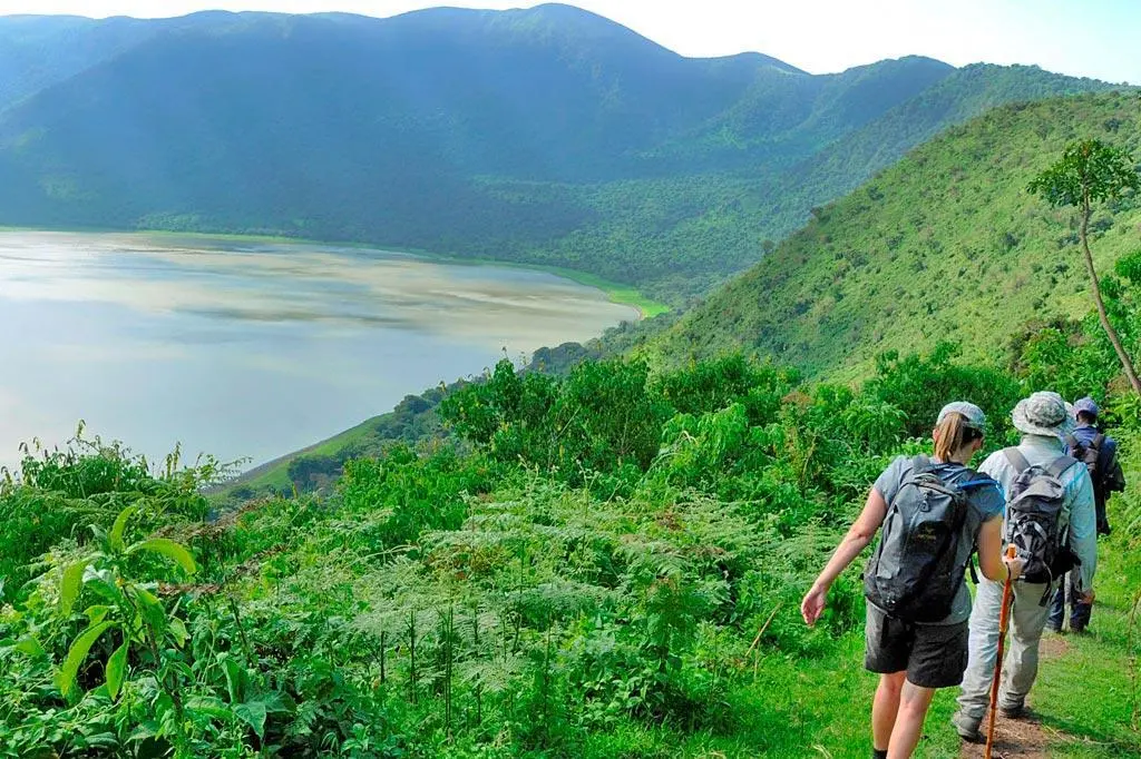 Walking Safaris
