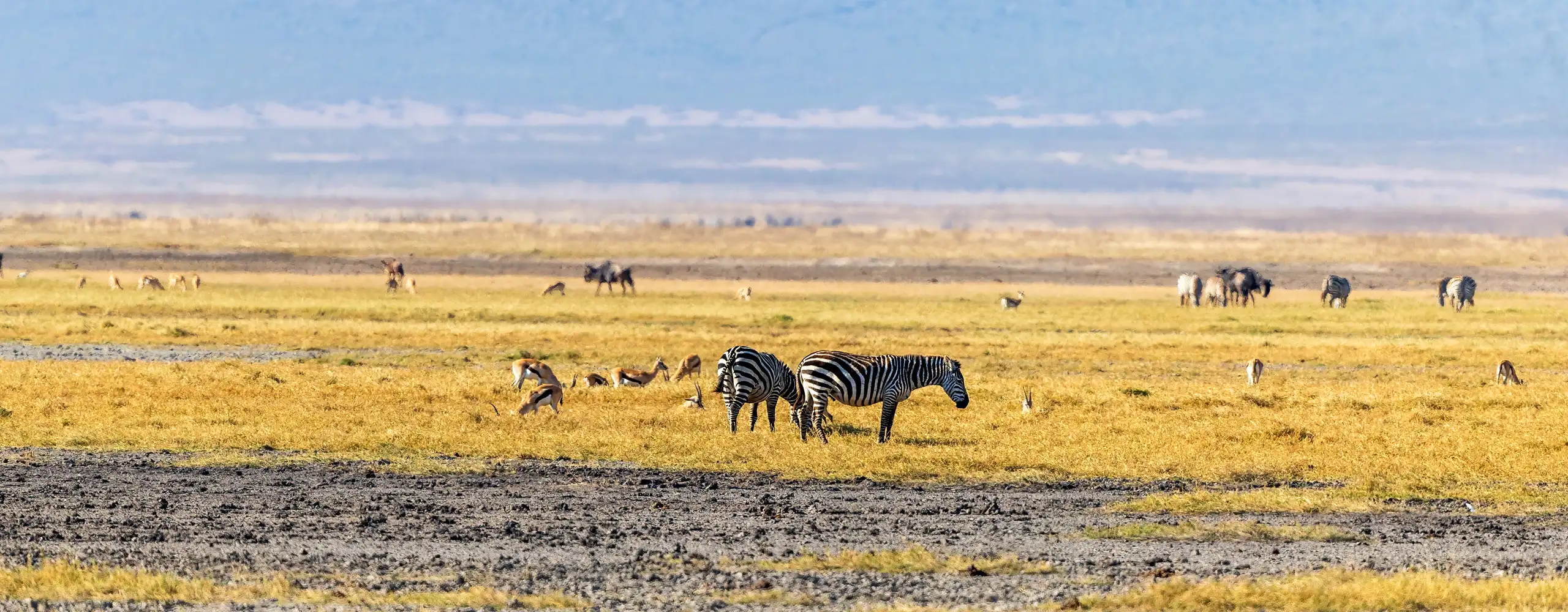Ngorongoro Crater rim overlook