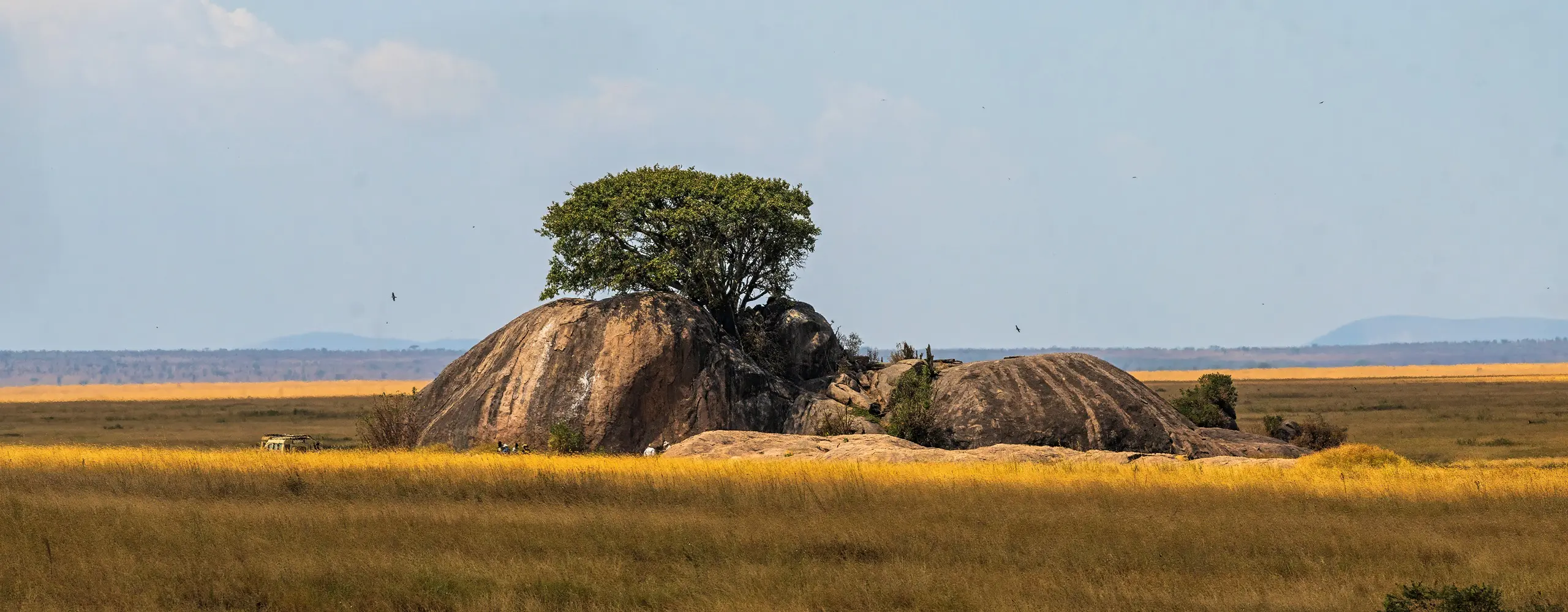 Serengeti plains across the seasons