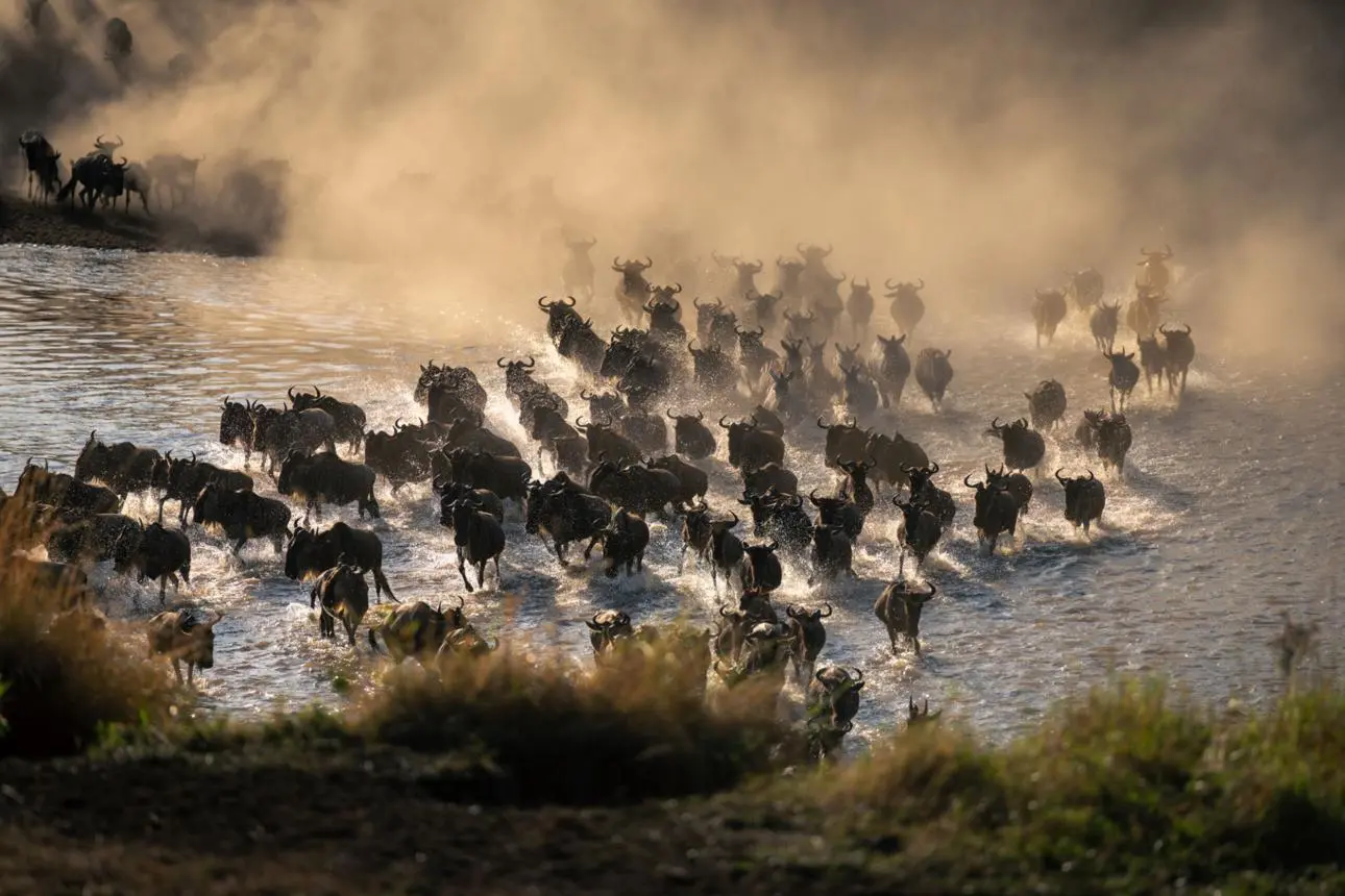 Northern Serengeti