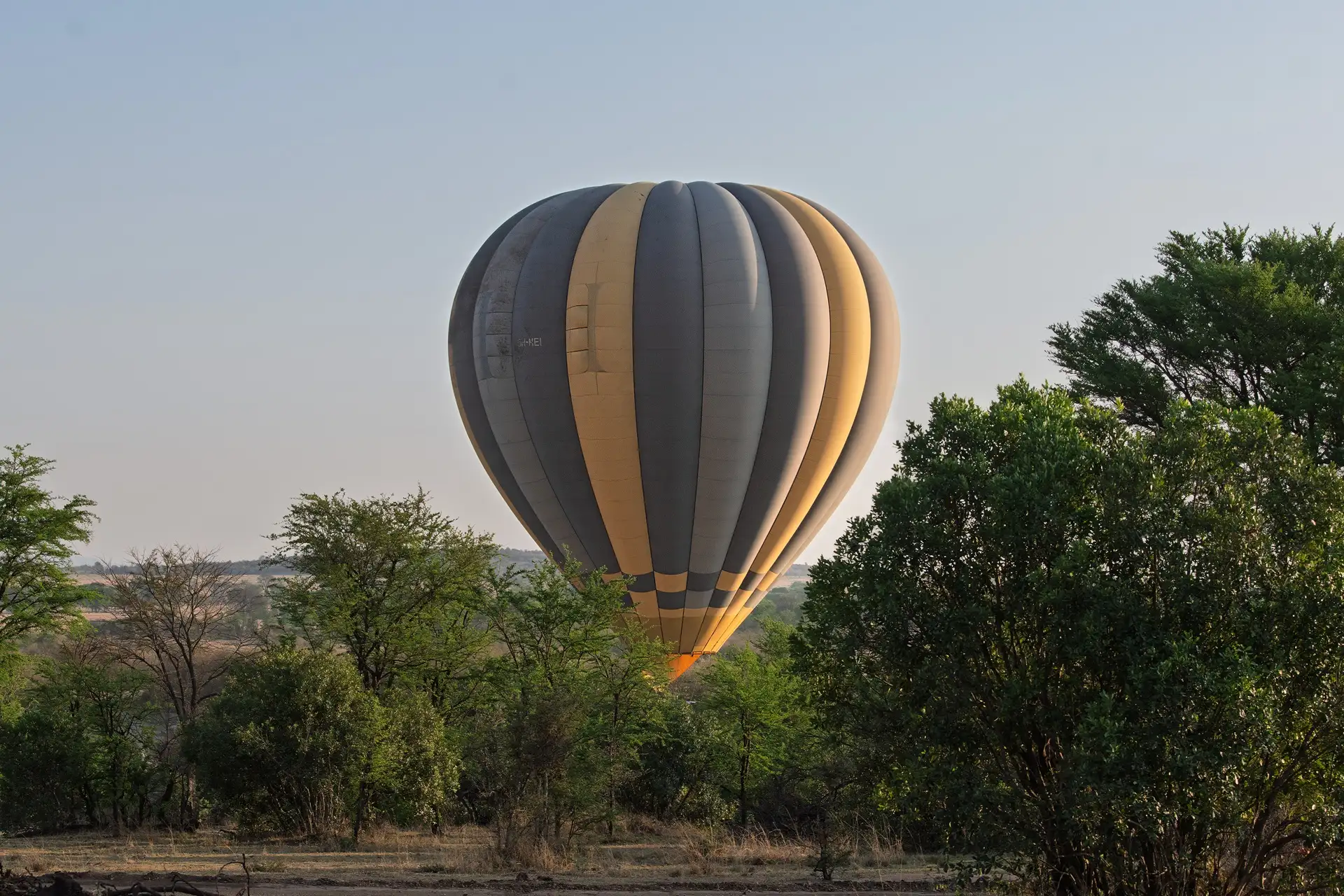 Hot-Air Balloon Safari