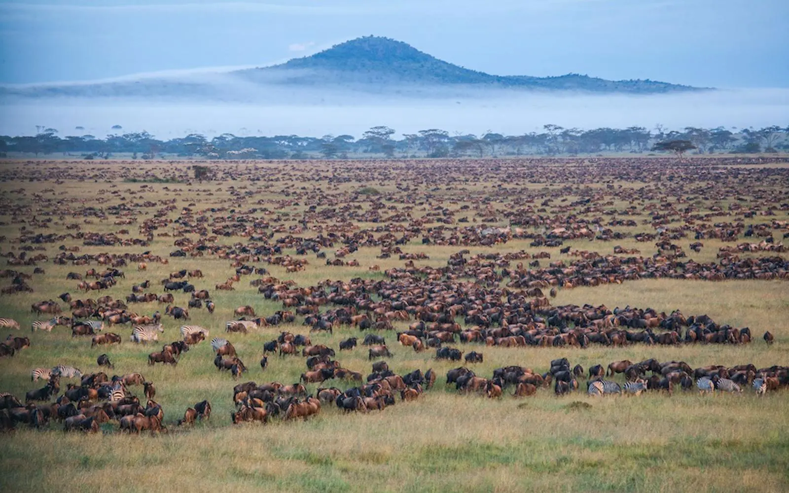 Southern Serengeti
