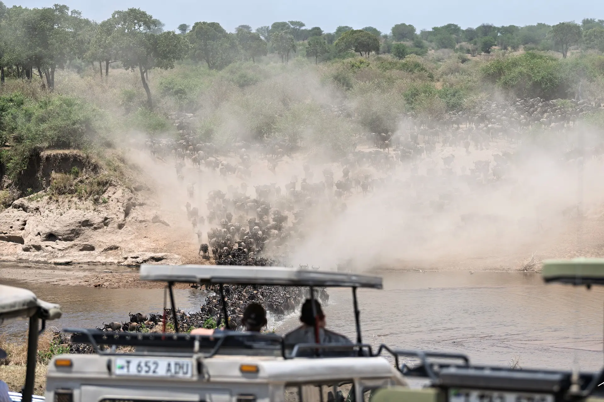 Great Migration Viewing