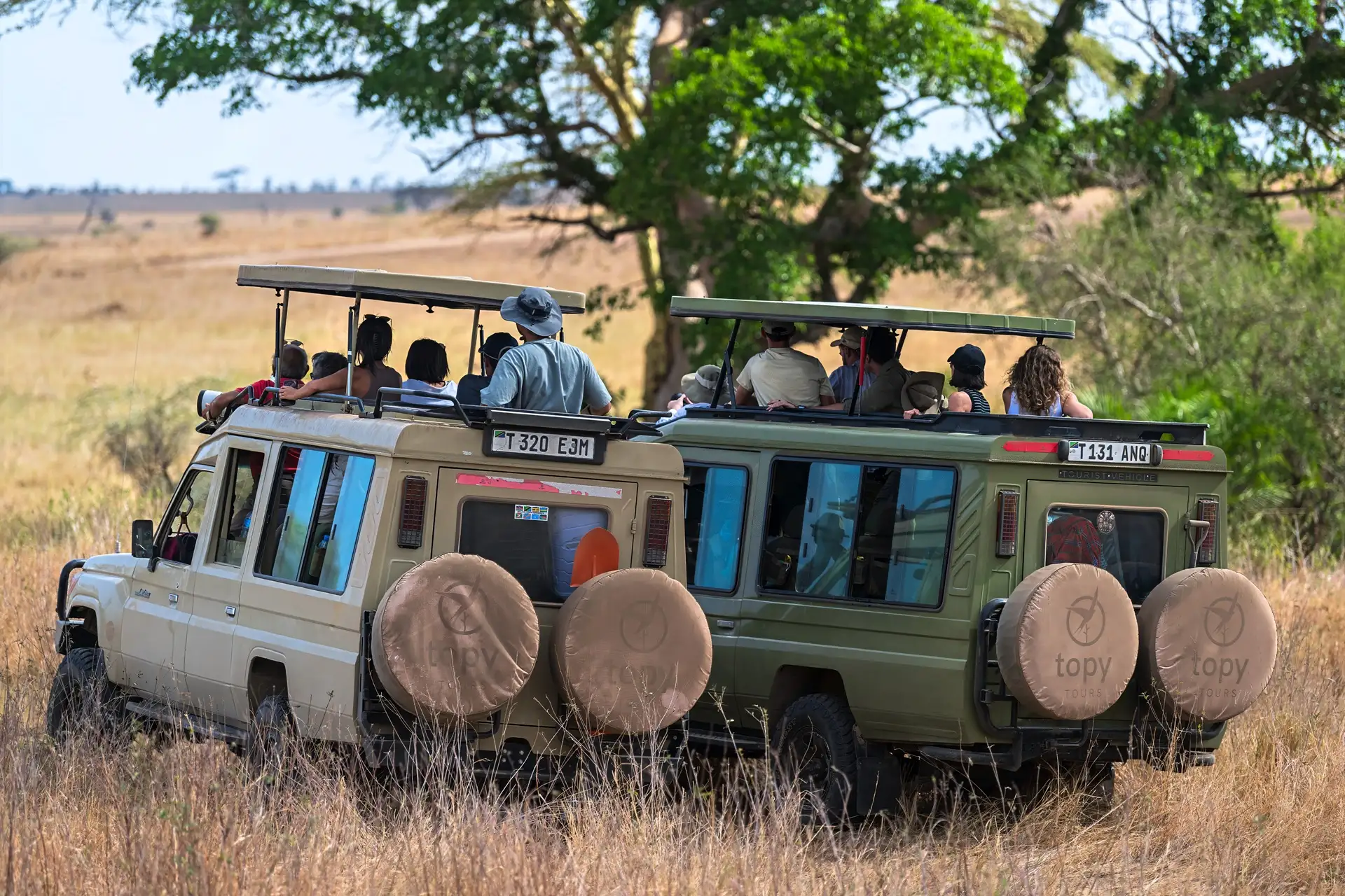 Game Drives