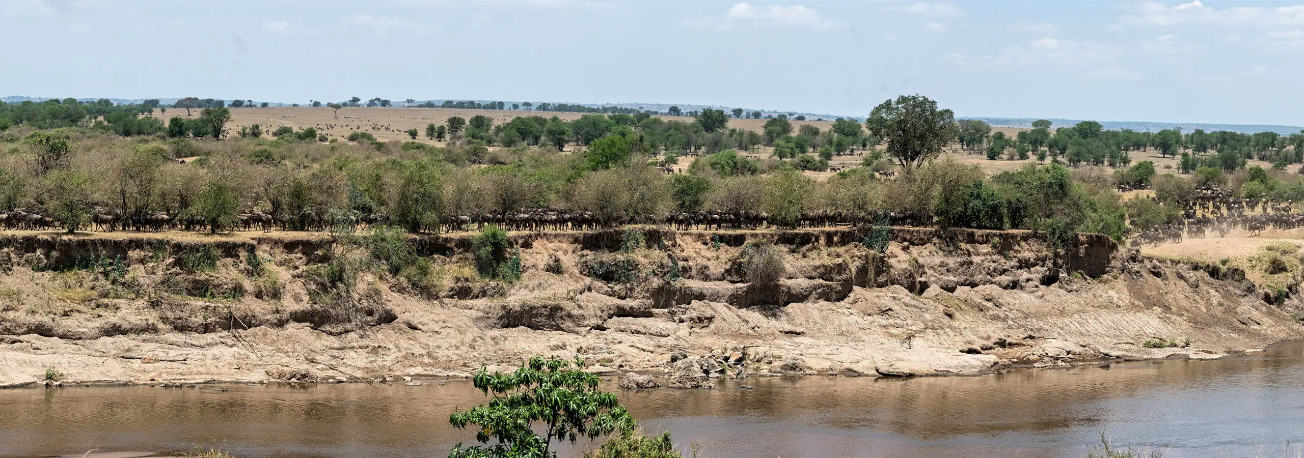 Open Serengeti savanna on a private safari