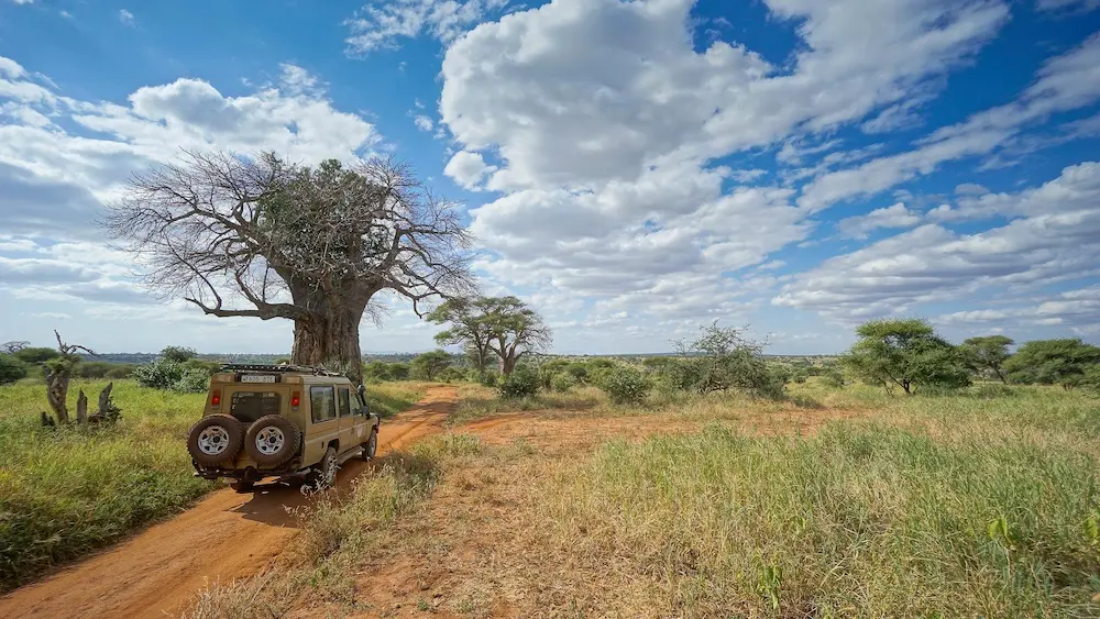 Game drives