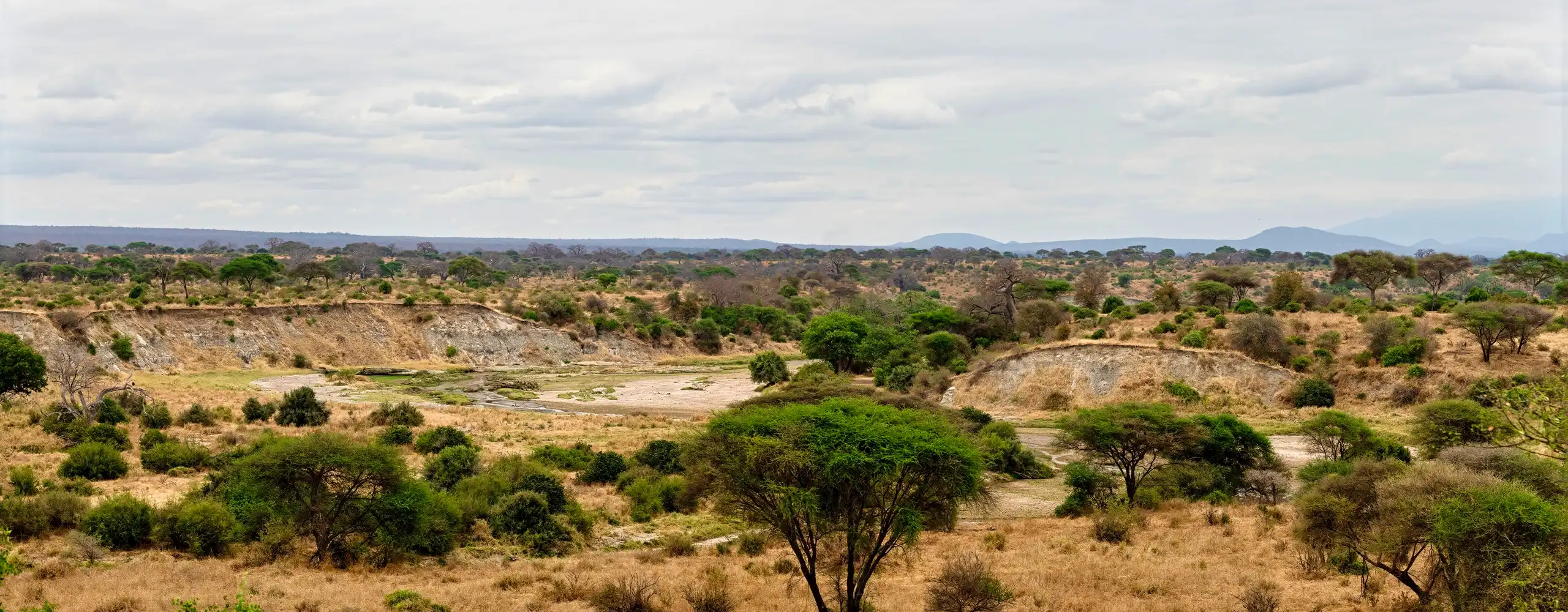 Tarangire landscape across the seasons