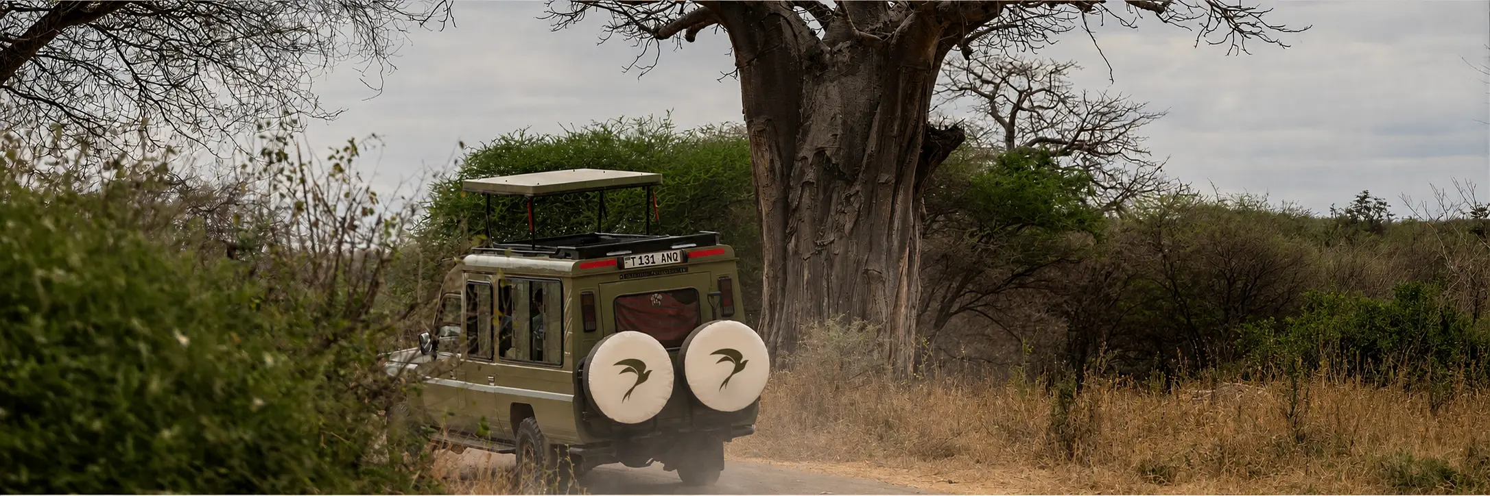 Wildlife in Tarangire National Park