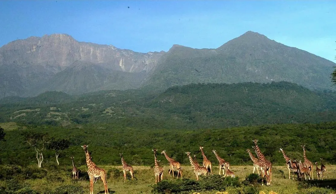 Arusha National Park overview