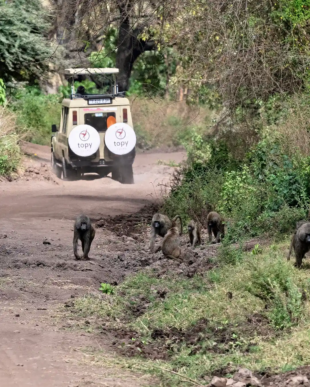 Best Time to Visit Tanzania