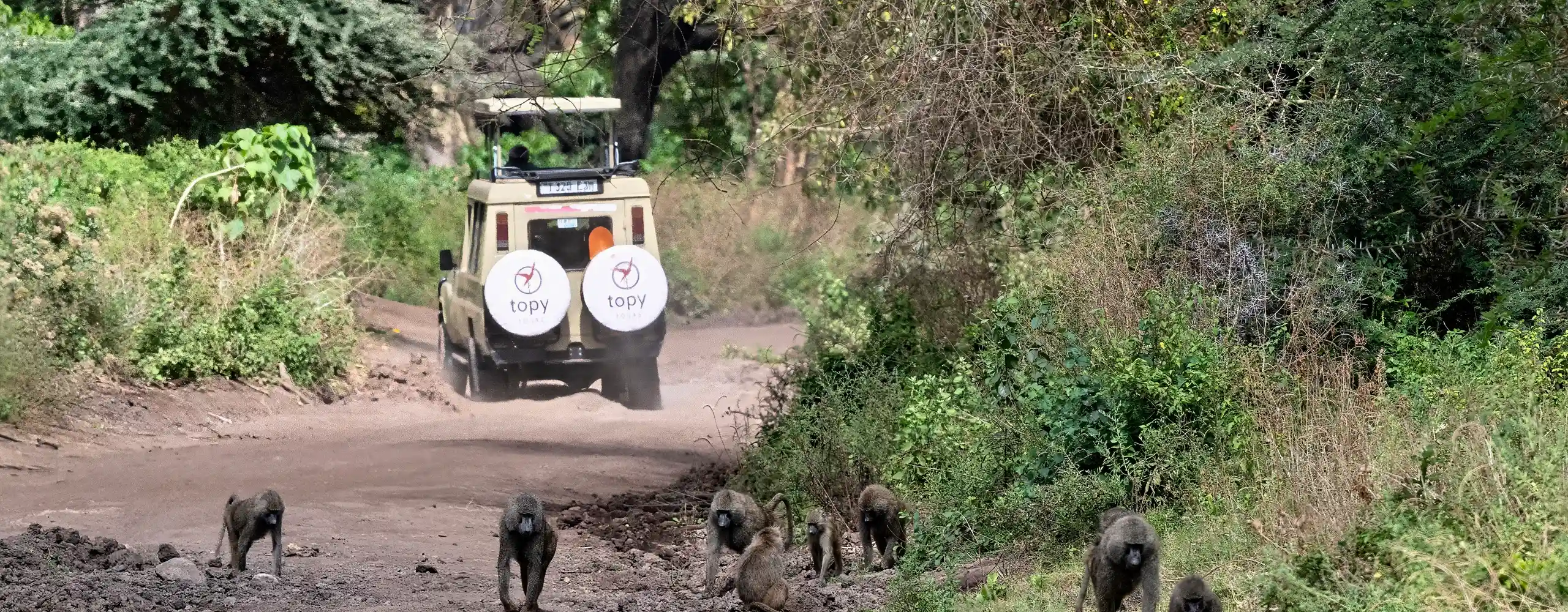 Best Time to Visit Tanzania