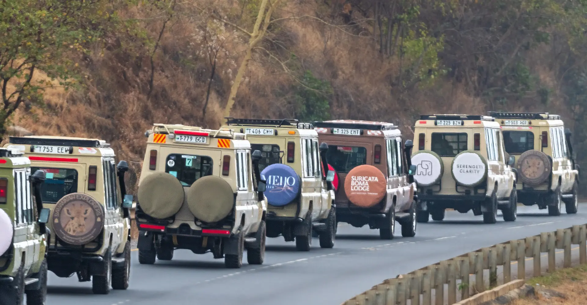 Safari vehicles viewing wildlife on the plains