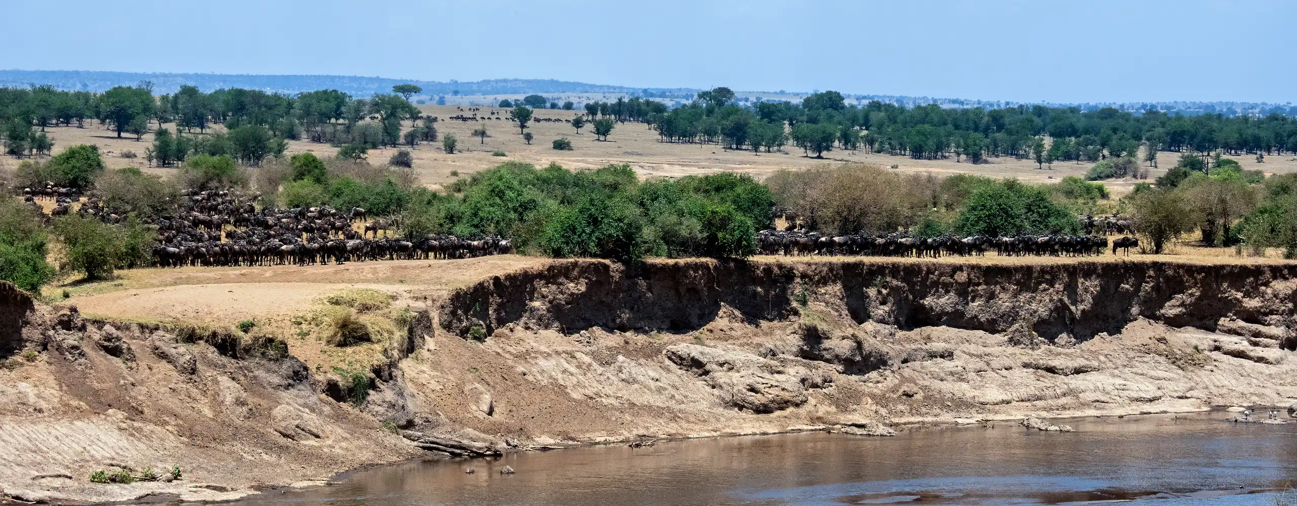 Central vs Northern vs Southern Serengeti