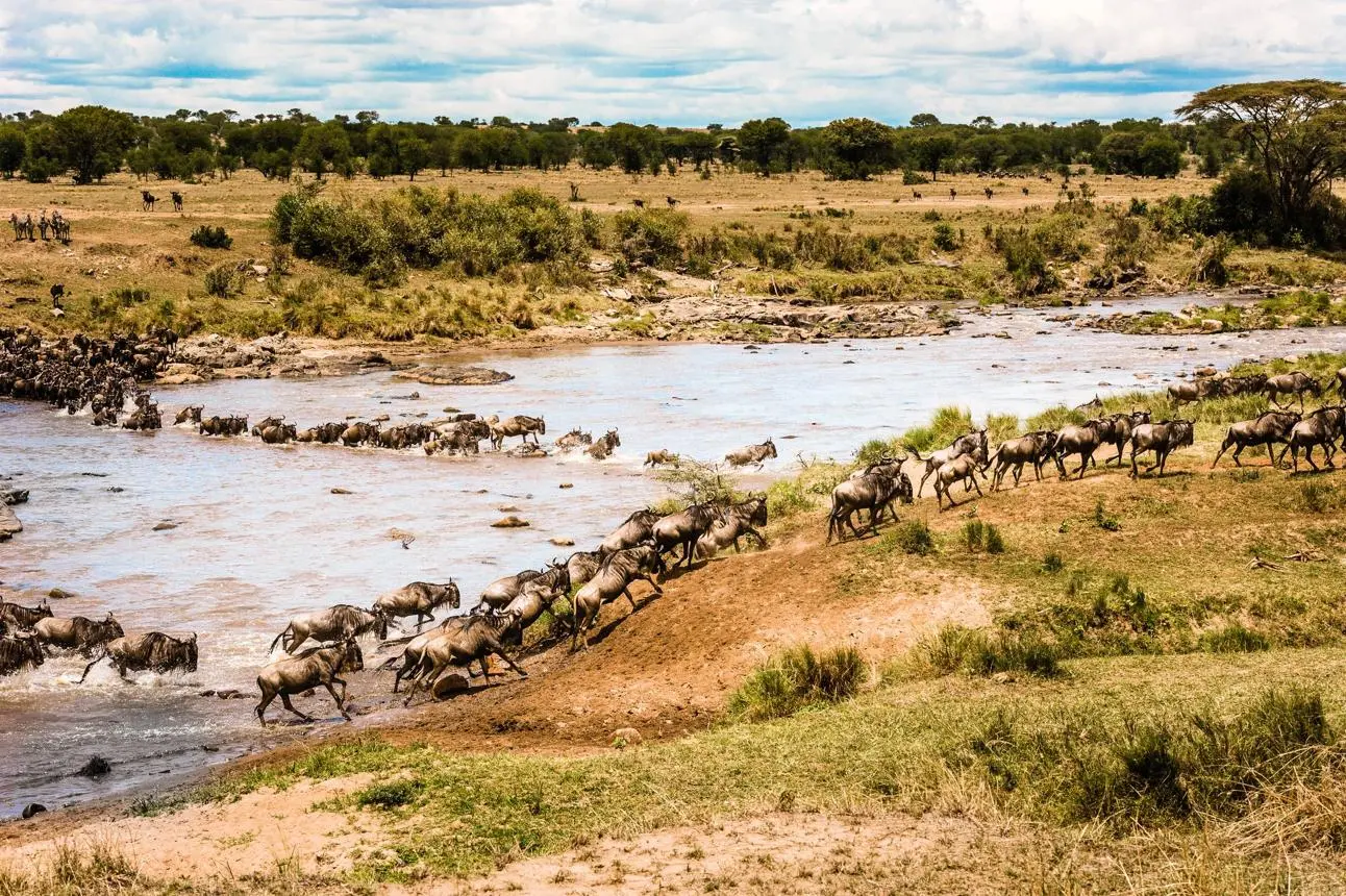 Northern Serengeti — The Mara River & Northern Migration