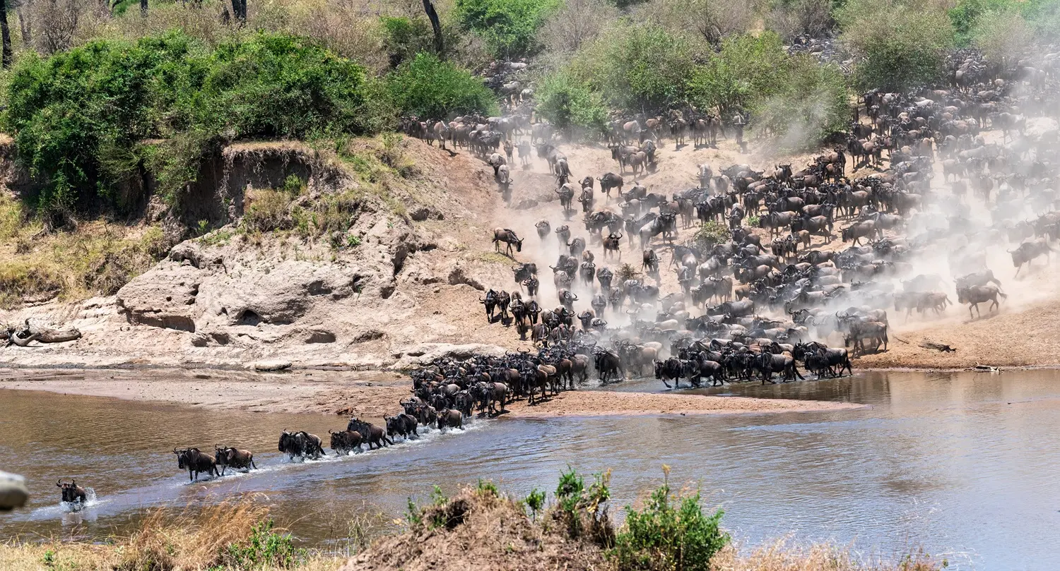 Great Migration Overview