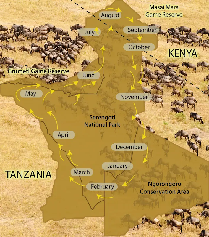 The Migration at a Glance