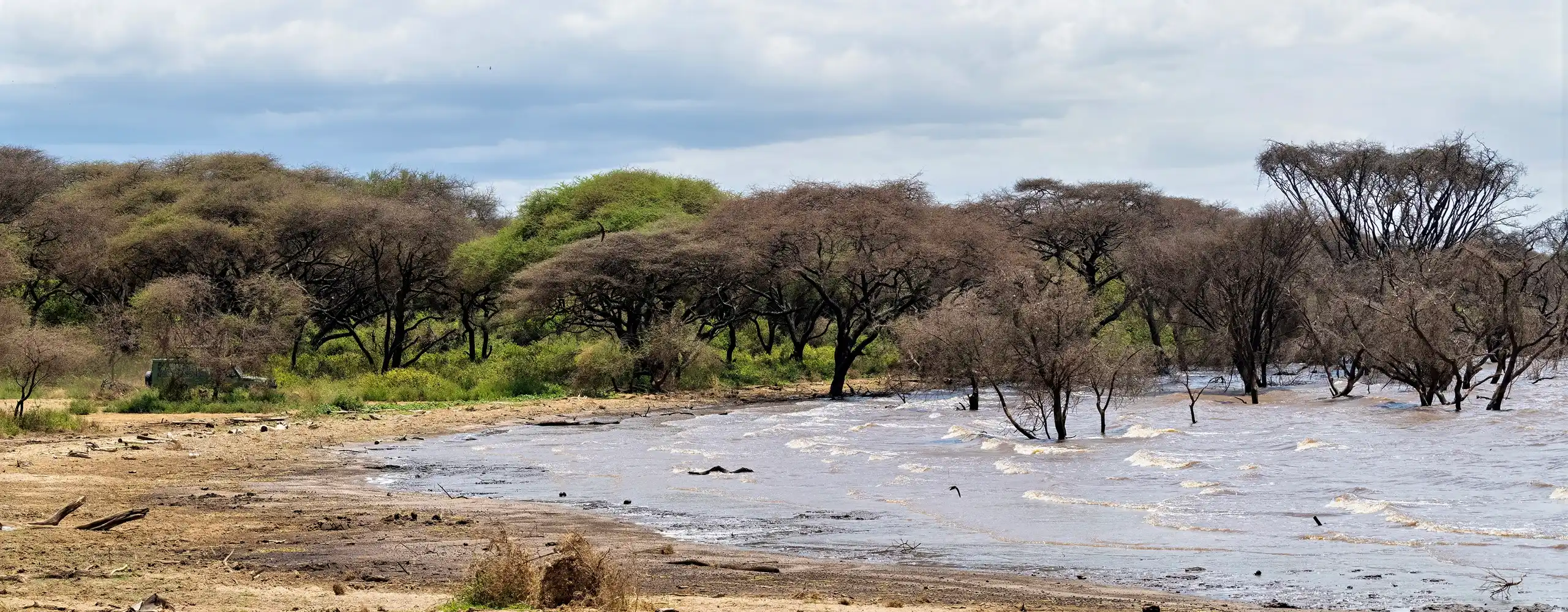 Lake Manyara National Park Guide