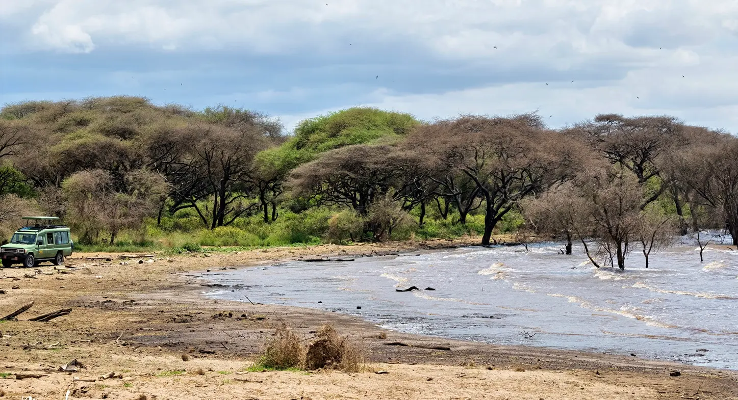 What Makes Lake Manyara Special?