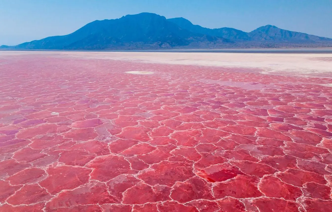 The Alkaline Lake & Salt Flats