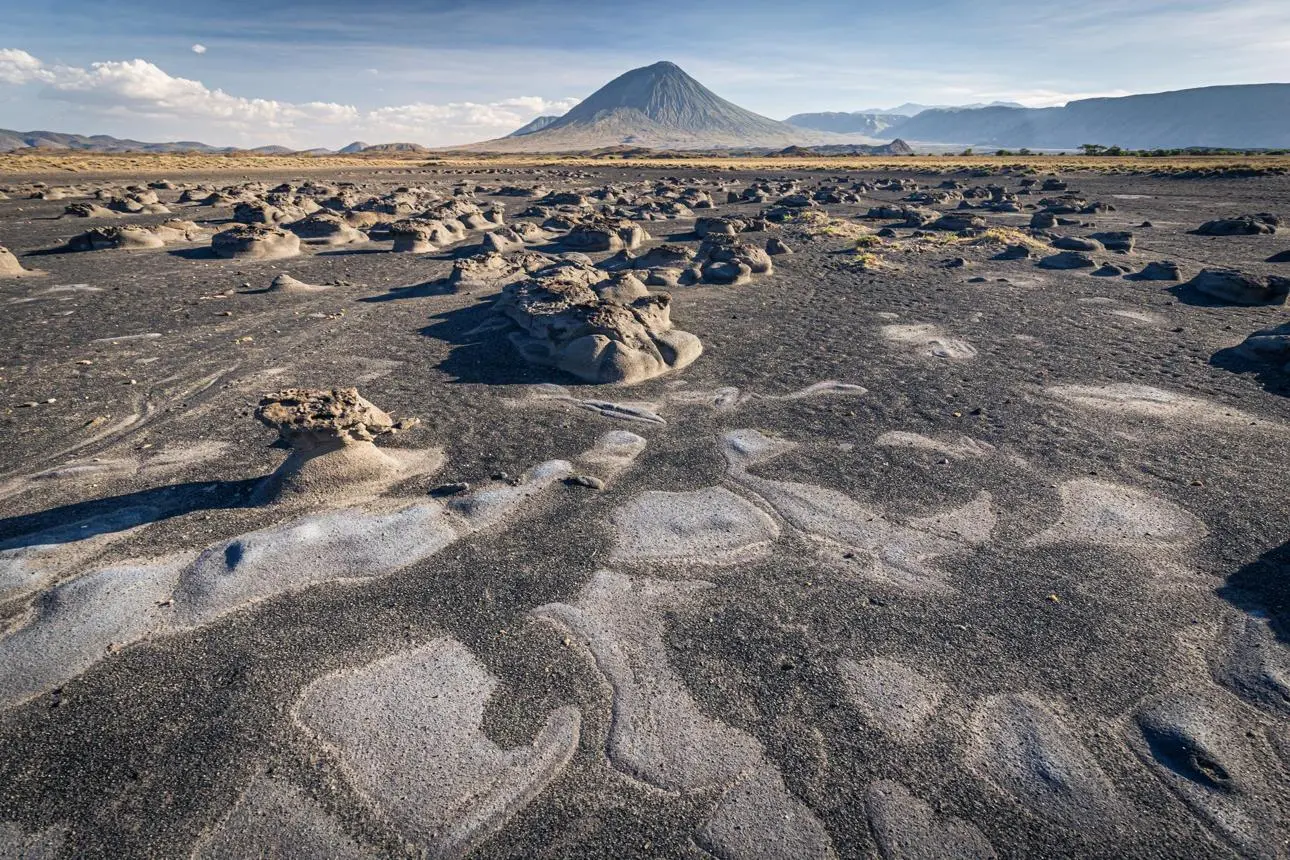 Ancient Footprints & Geological Landscapes
