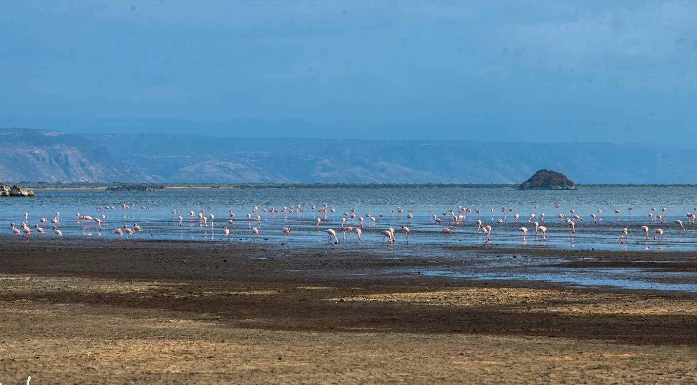 What Makes Lake Natron Special?