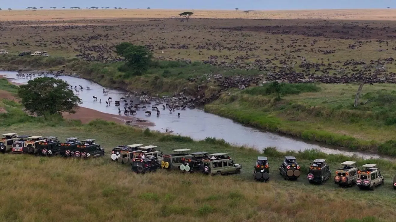 Crowds and Vehicles During Crossing Season