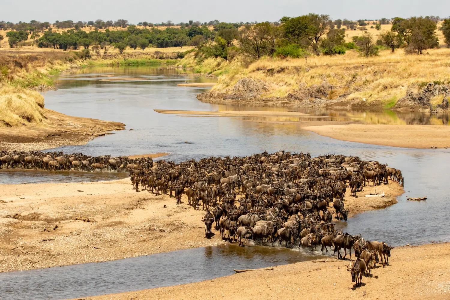 Where to See the Mara River Crossings