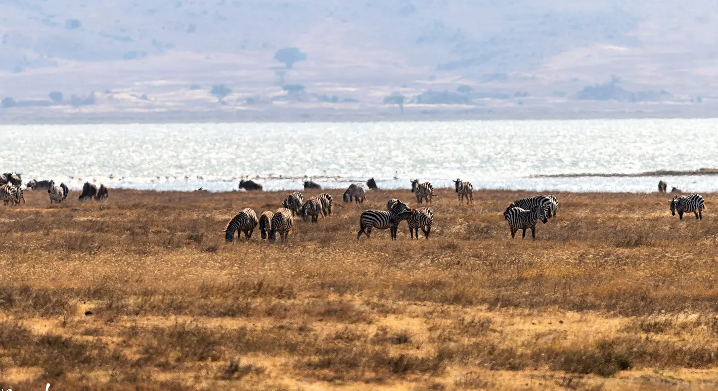 Ngorongoro Crater Overview