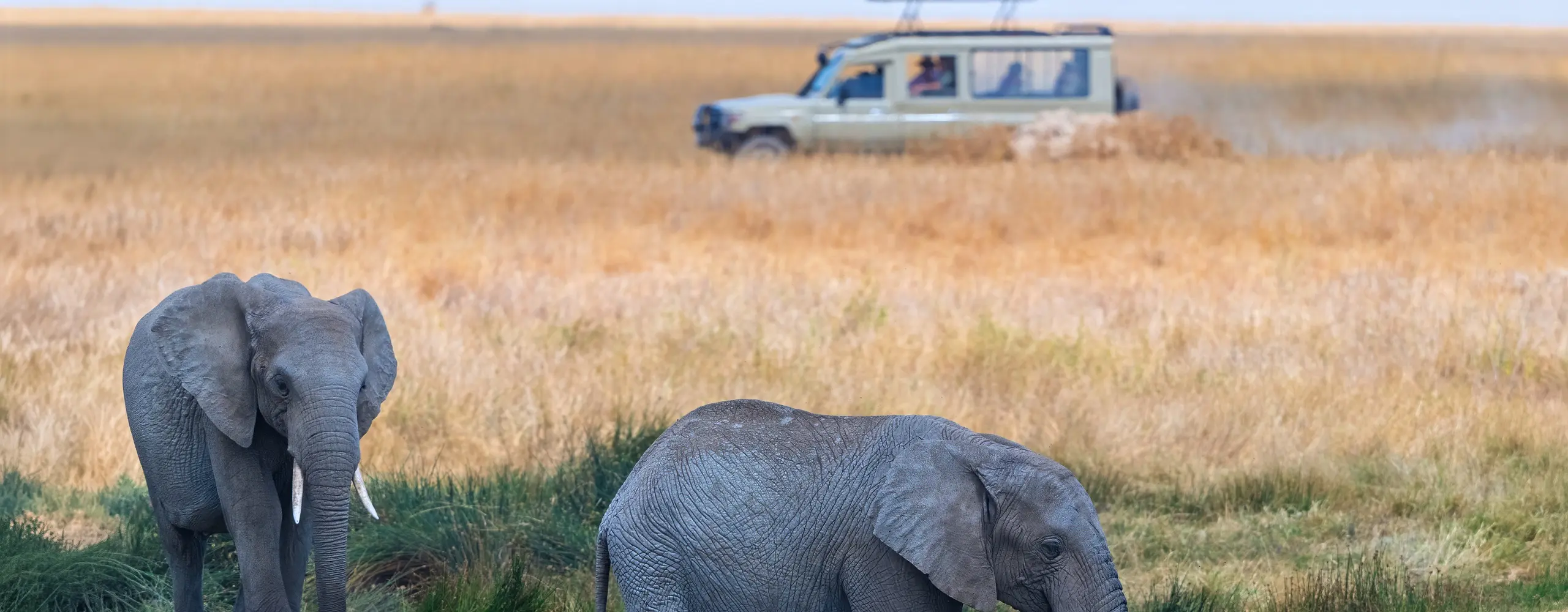 Northern Circuit Safari Guide