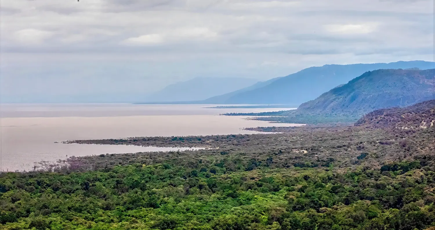 Lake Manyara — Forest, Lake & Tree-Climbing Lions