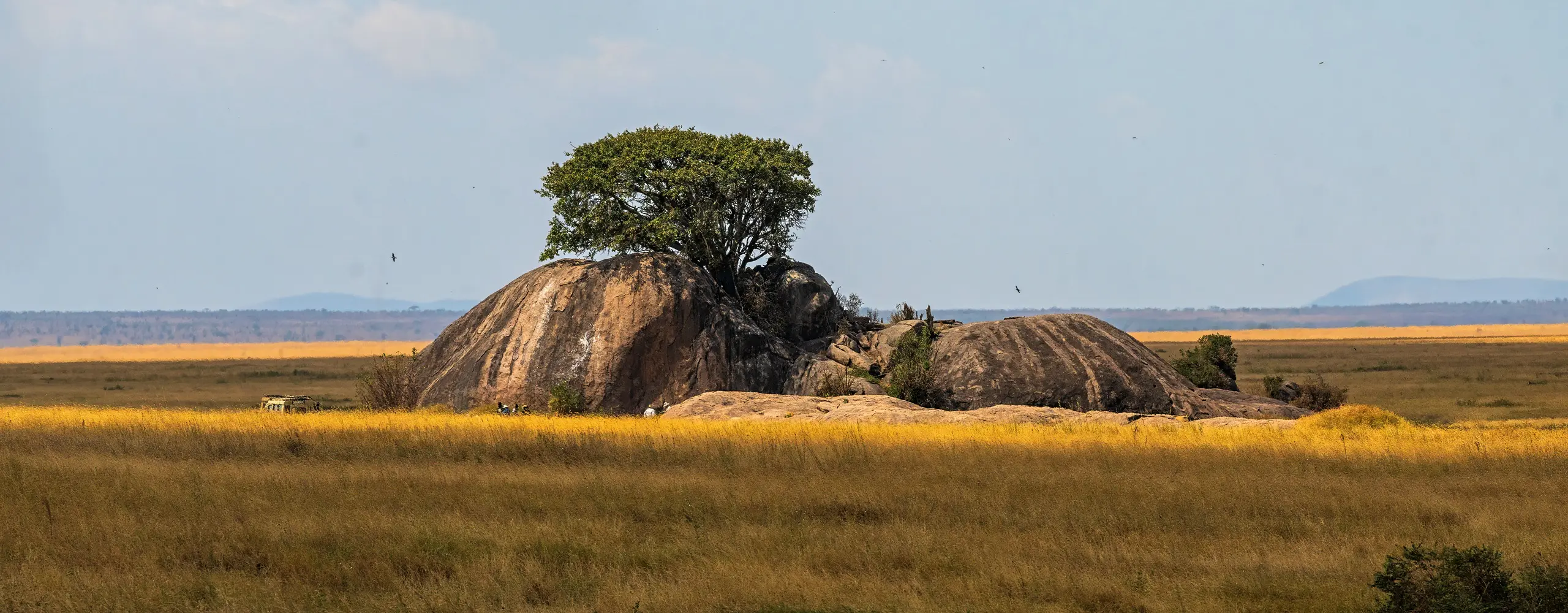 Serengeti National Park Guide