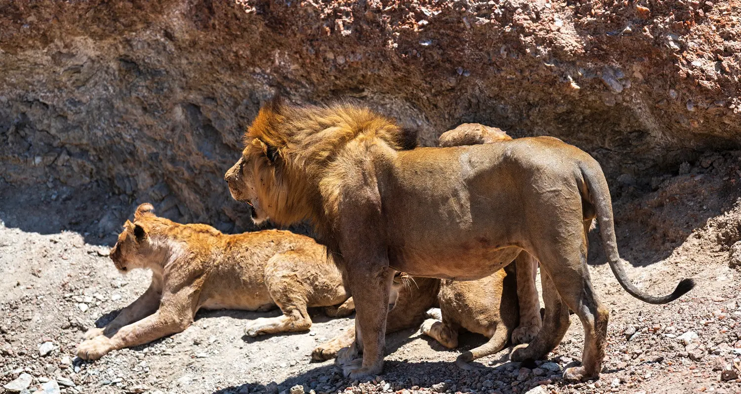 The Big Five