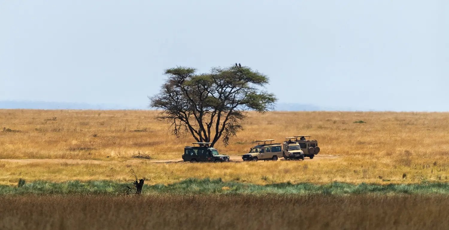 Serengeti National Park Overview