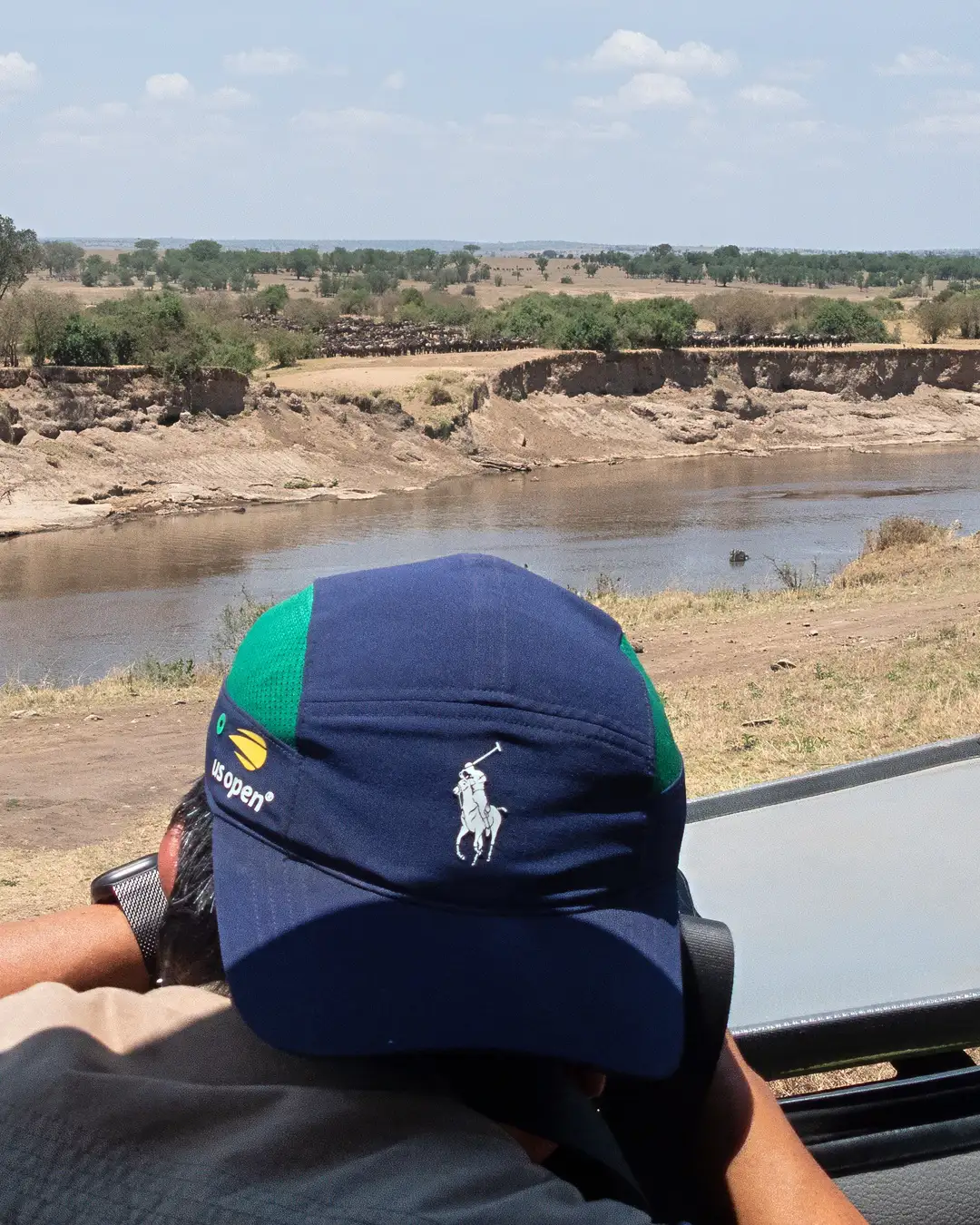 Solo Safari