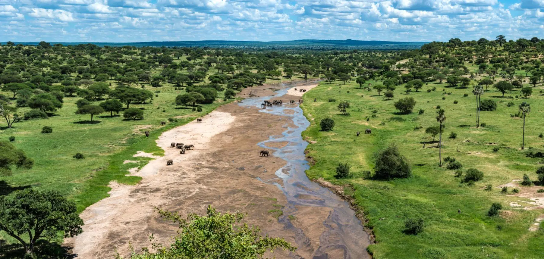 The Tarangire River